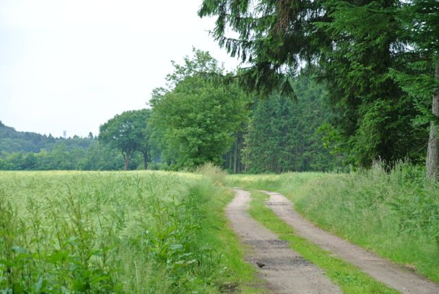 Road to Bimöhlen through farmland