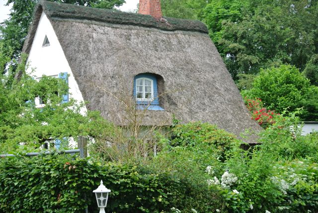 Thatched cottage in Bimöhlen