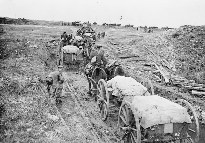 Horse transport during WW1. http://www.iwm.org.uk/history/transport-and-supply-during-the-first-world-war